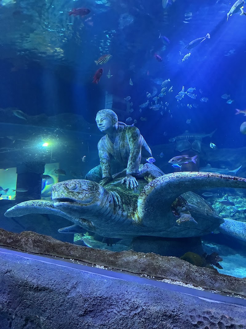 名古屋シーライフ水族館 SEA LIFE Nagoya Aquarium