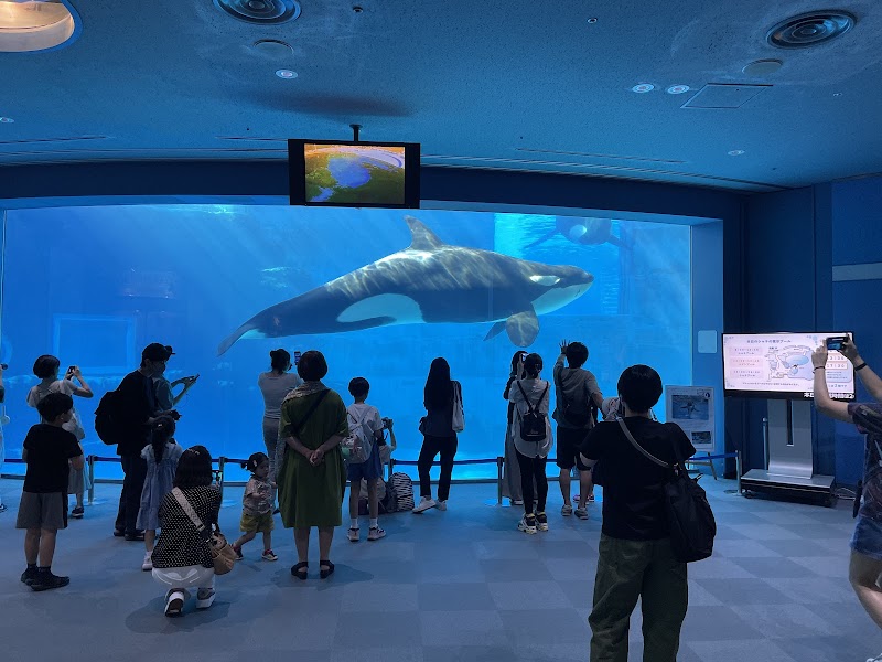 名古屋港水族館