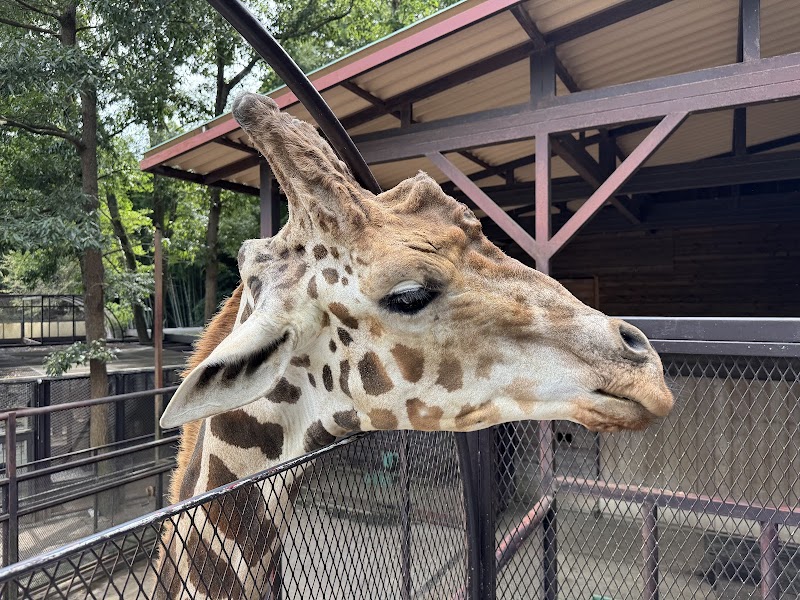市原ぞうの国・サユリワールド～ANIMAL WONDER REZOURT～