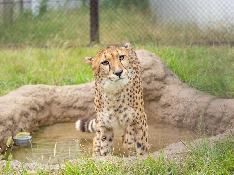 千葉市動物公園