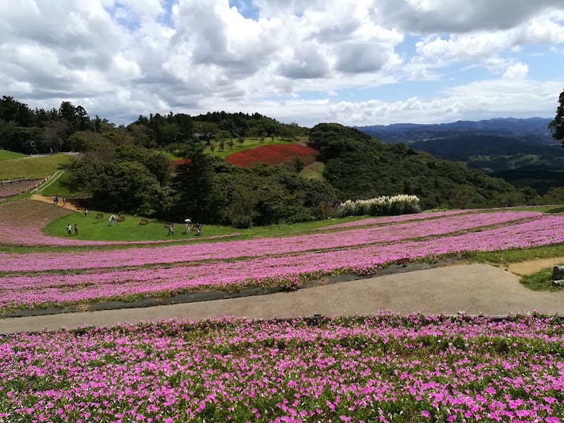 ふれあい牧場