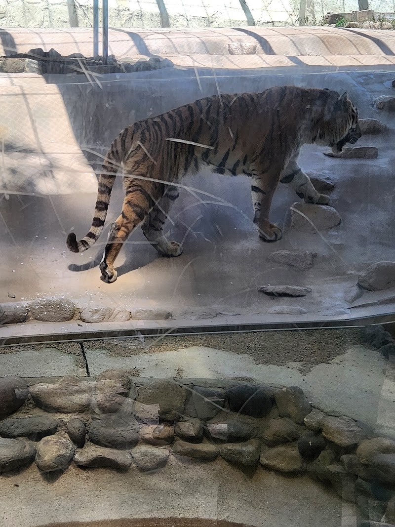 福岡市植物園 動物科学館