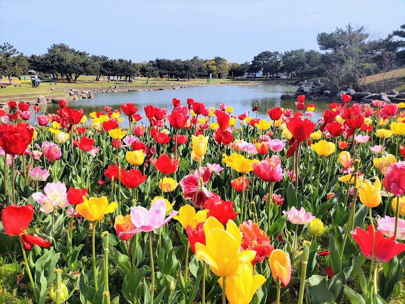 国営海の中道海浜公園