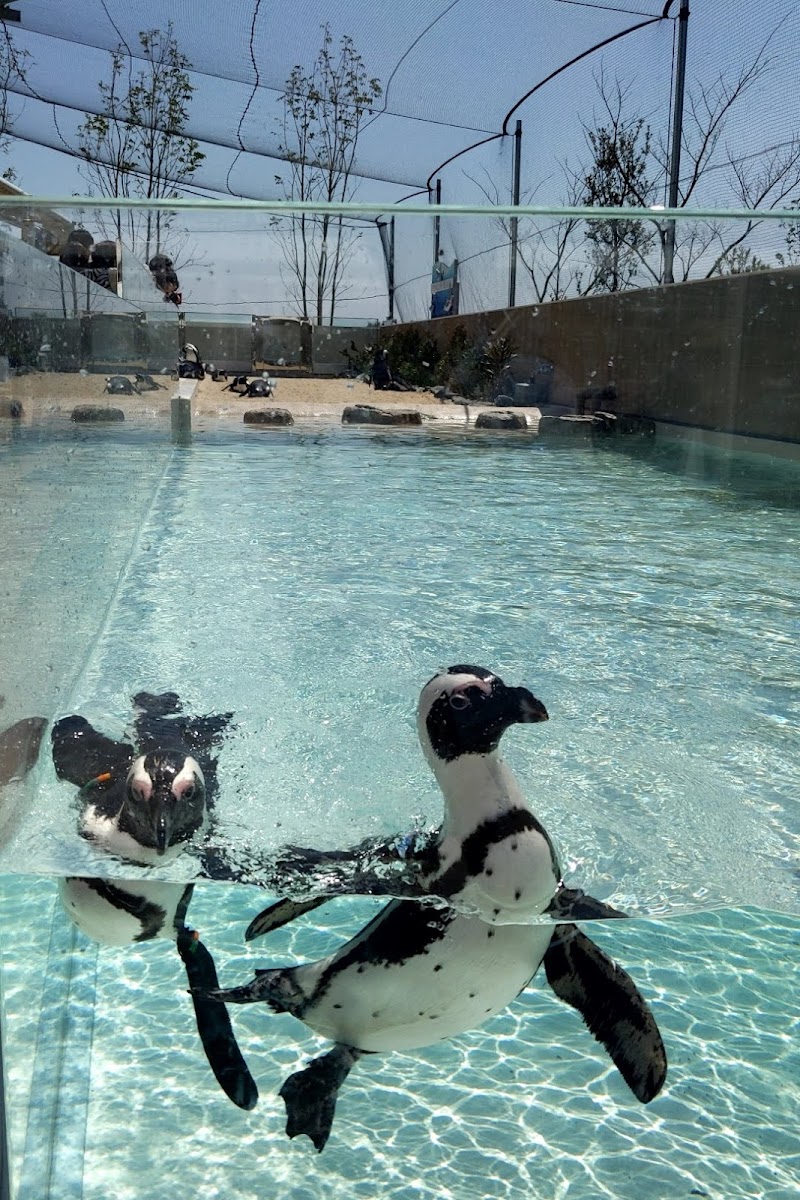 かいじゅうアイランド