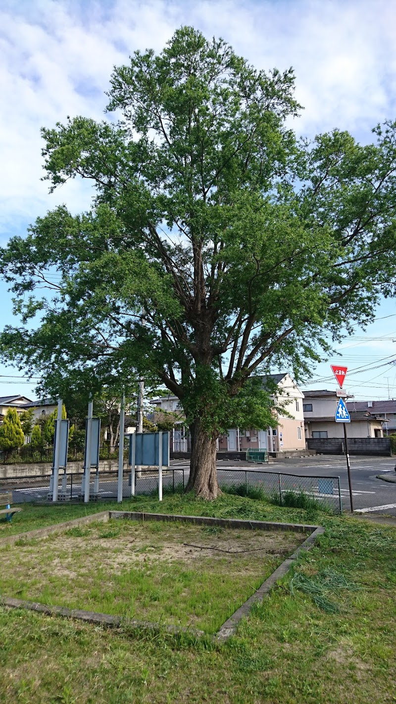 久世原西公園