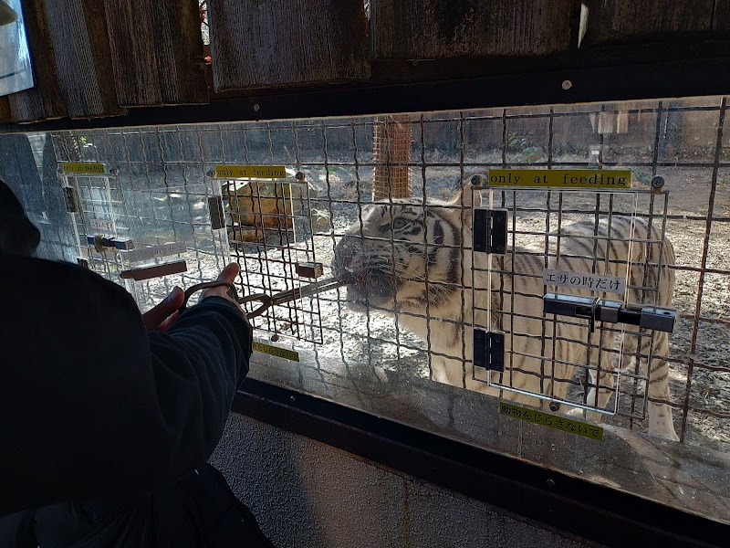 群馬サファリパーク入園ゲート