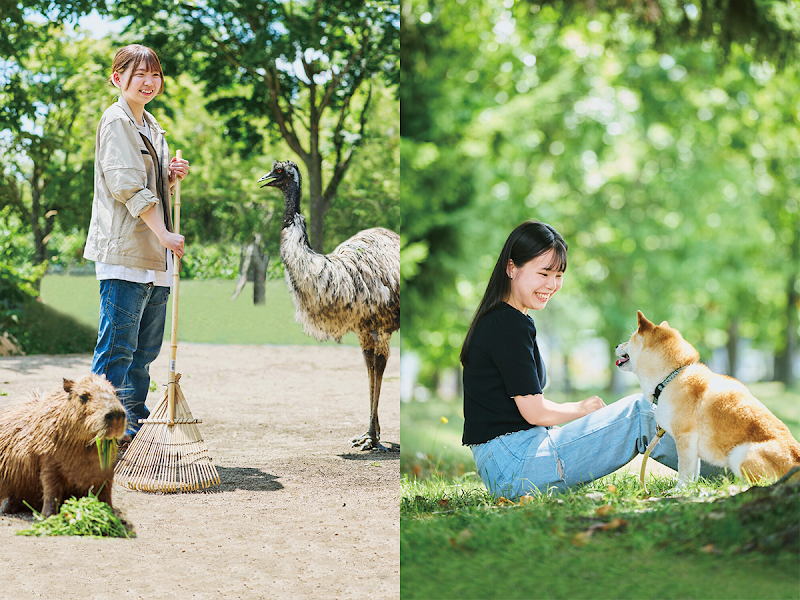 北海道エコ･動物自然専門学校