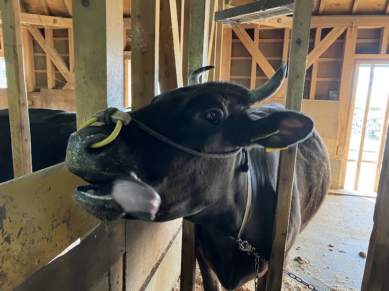 但馬牧場公園 大動物舎