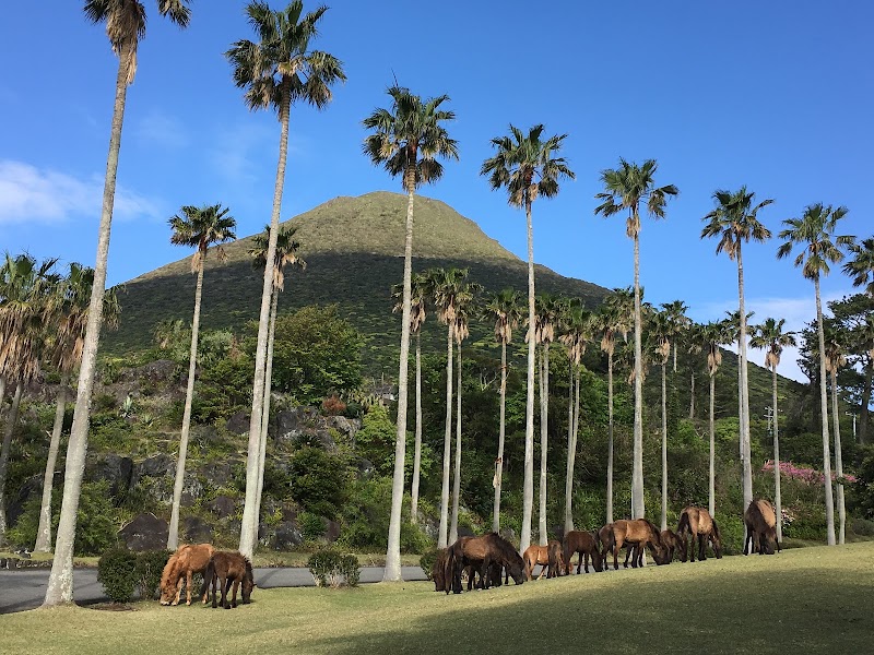開聞山麓自然公園(トカラ馬牧場)