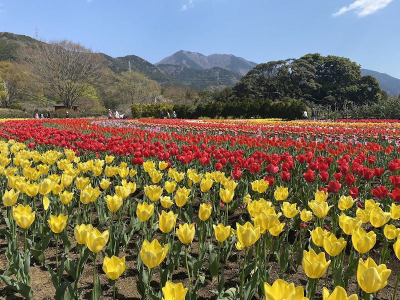 秦野市立戸川公園