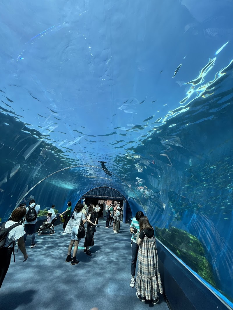 橫濱八景島海島樂園
