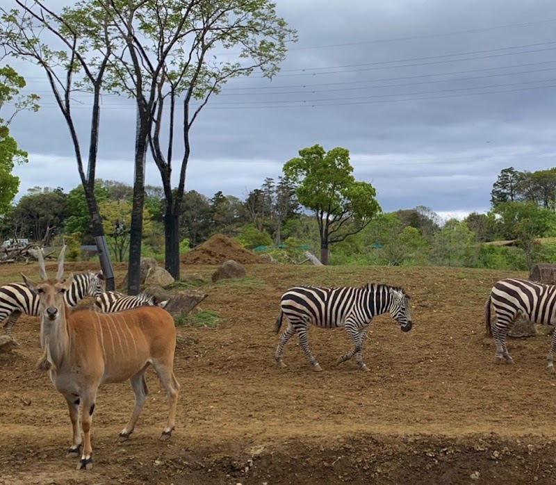 よこはま動物園ズーラシア 北門エリア