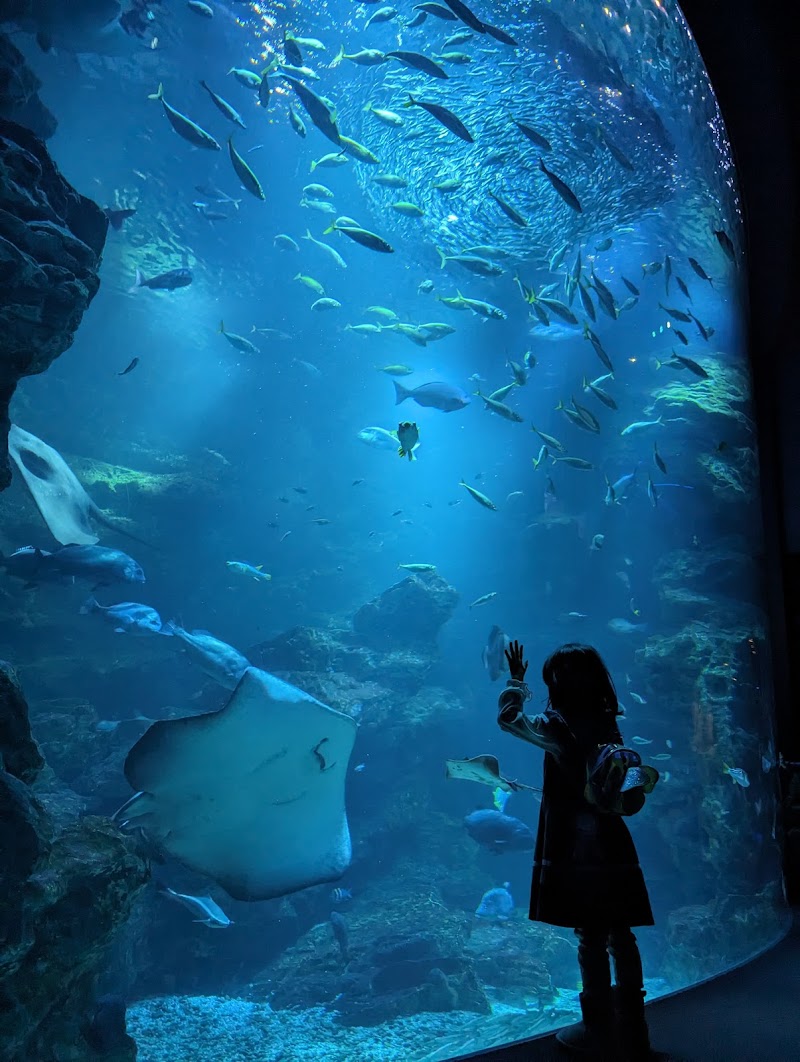 京都水族館