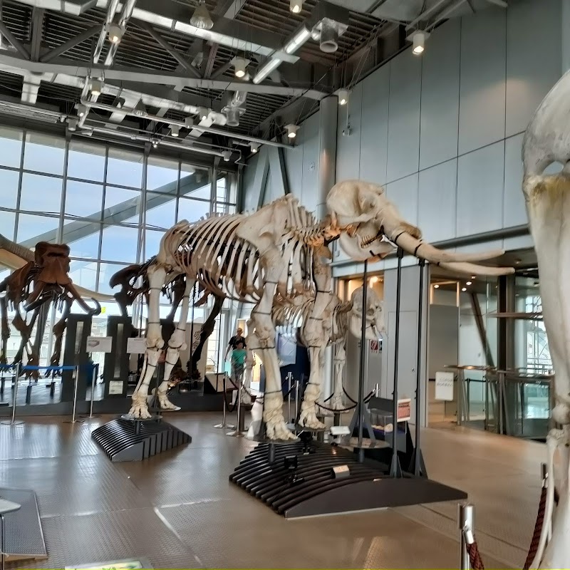 スリーエム仙台市科学館