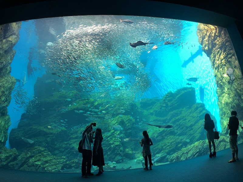 仙台うみの杜水族館