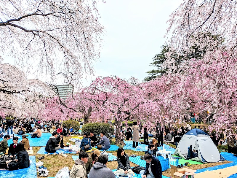 榴岡公園