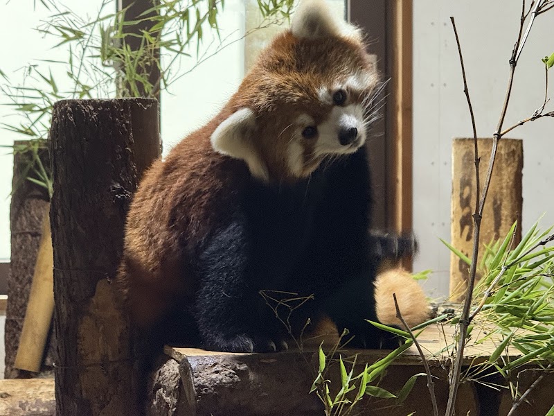 茶臼山動物園 北口ゲート（きっぷ売場）