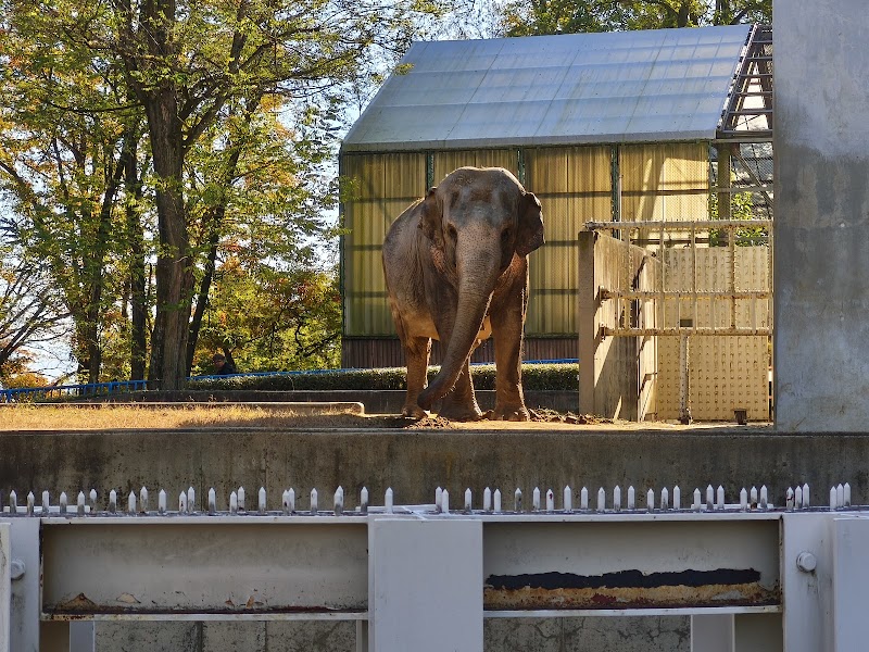 茶臼山動物園 南口ゲート（きっぷ売場）