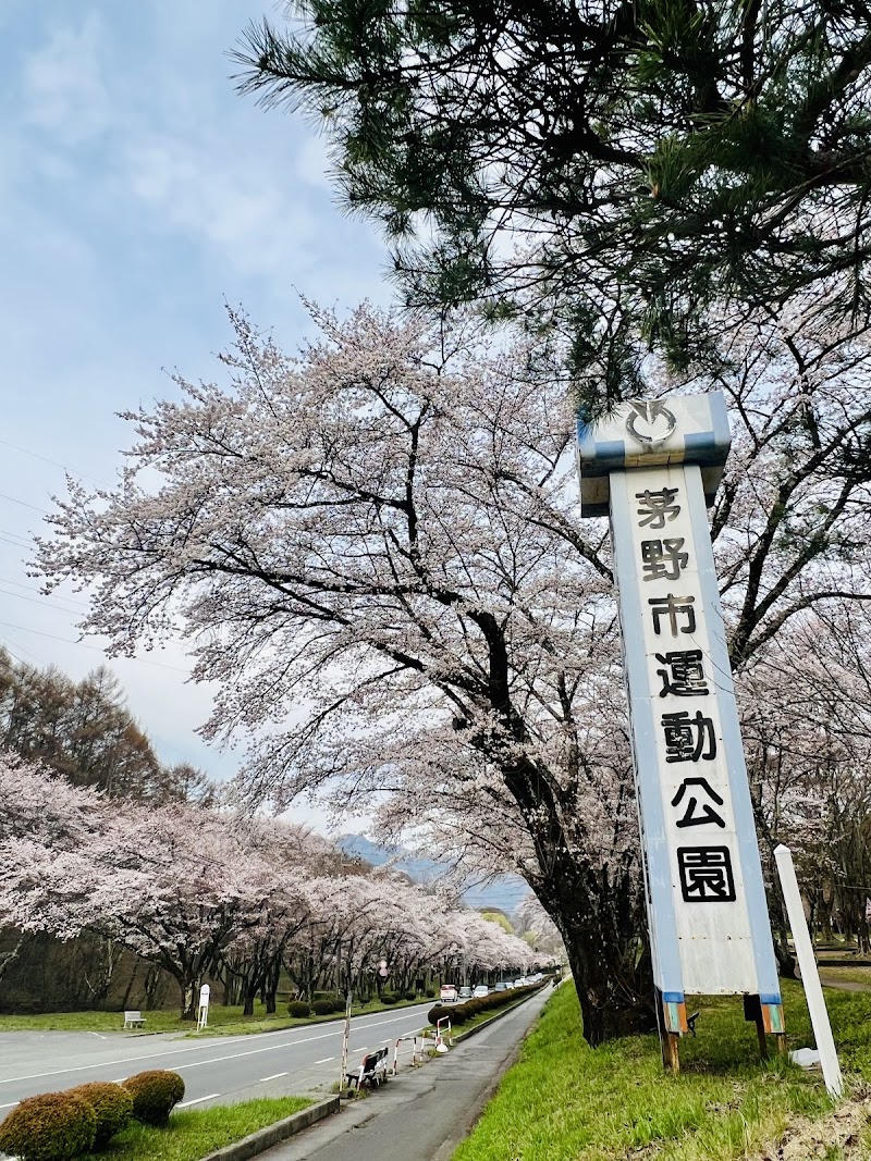 弓 振 公園