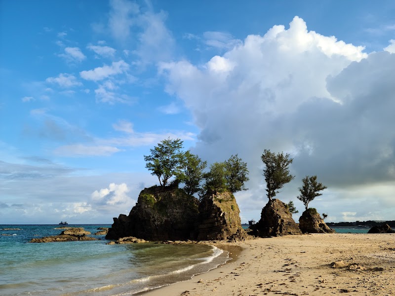 瀬嵩の浜