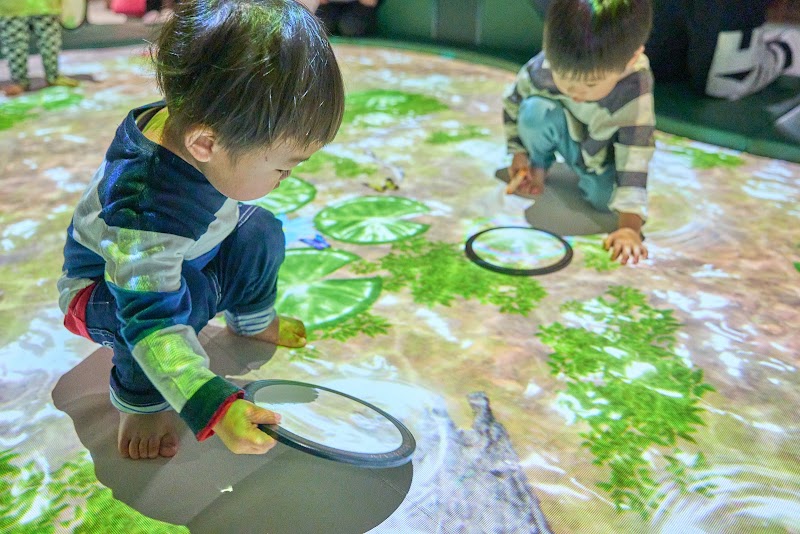 屋内 ・ 冒険の島 ドコドコ