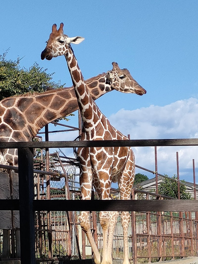 はまZOO (浜松市動物園)