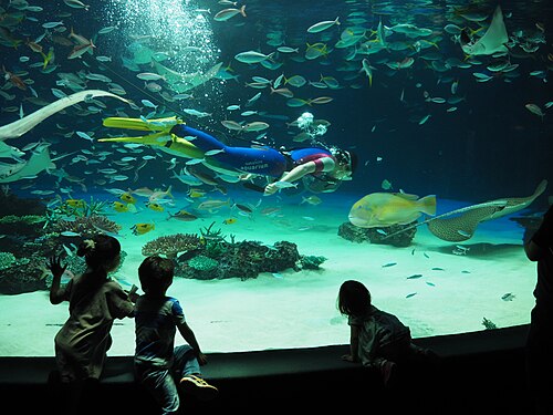 サンシャイン国際水族館