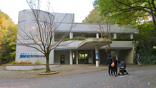 世界のメダカ館
