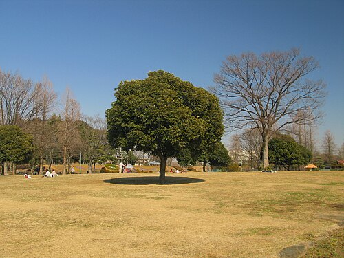 大崎公園