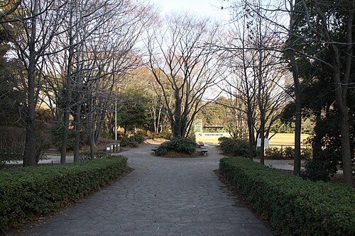青海中央ふ頭公園