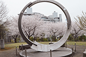 都筑中央公園