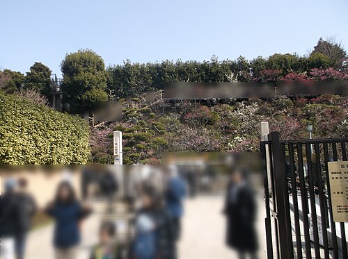 池上梅園