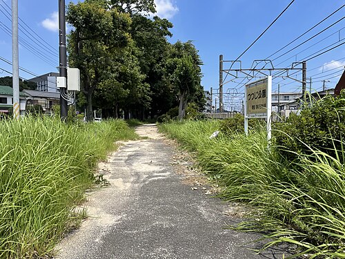 つつじ公園