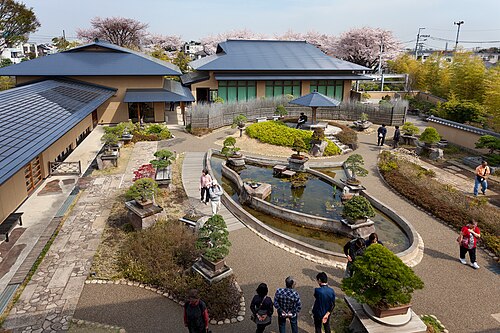 大宮盆栽美術館