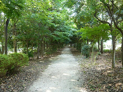 青海緑道公園