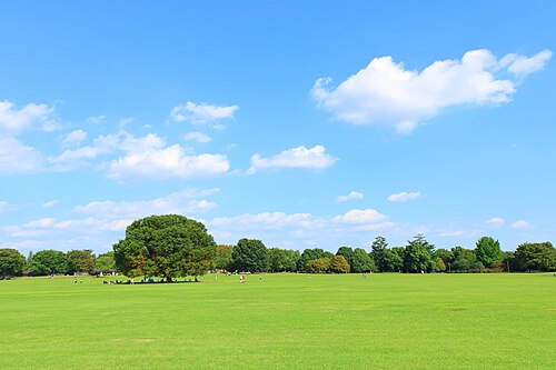 国営昭和記念公園の写真