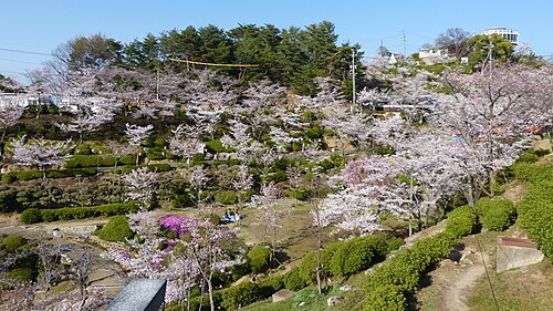 千光寺公園