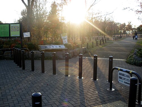 柏の宮公園