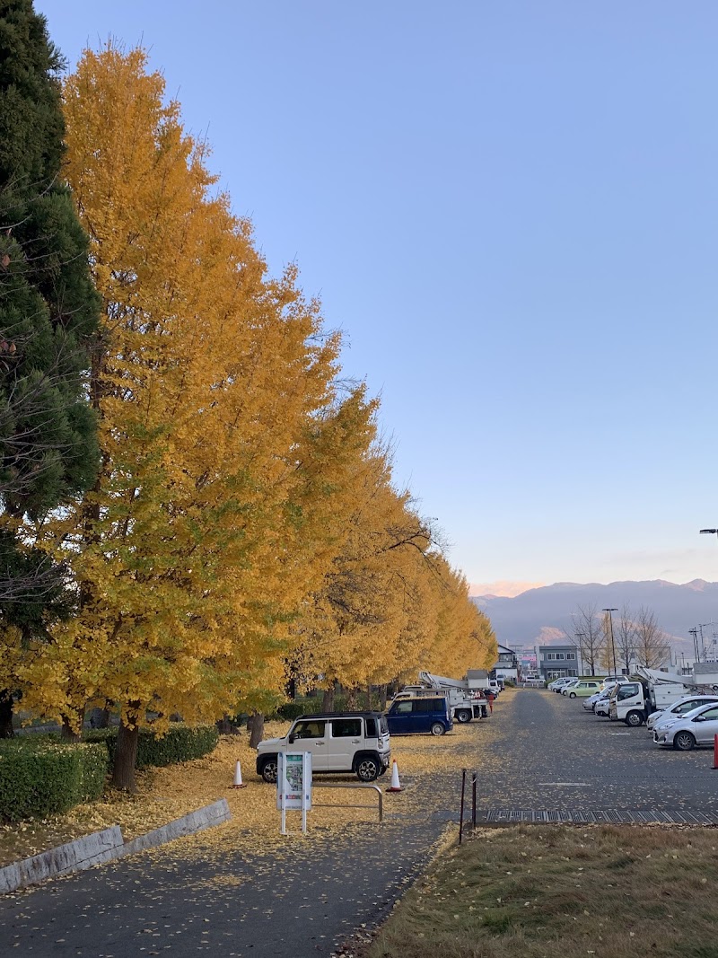 小瀬スポーツ公園