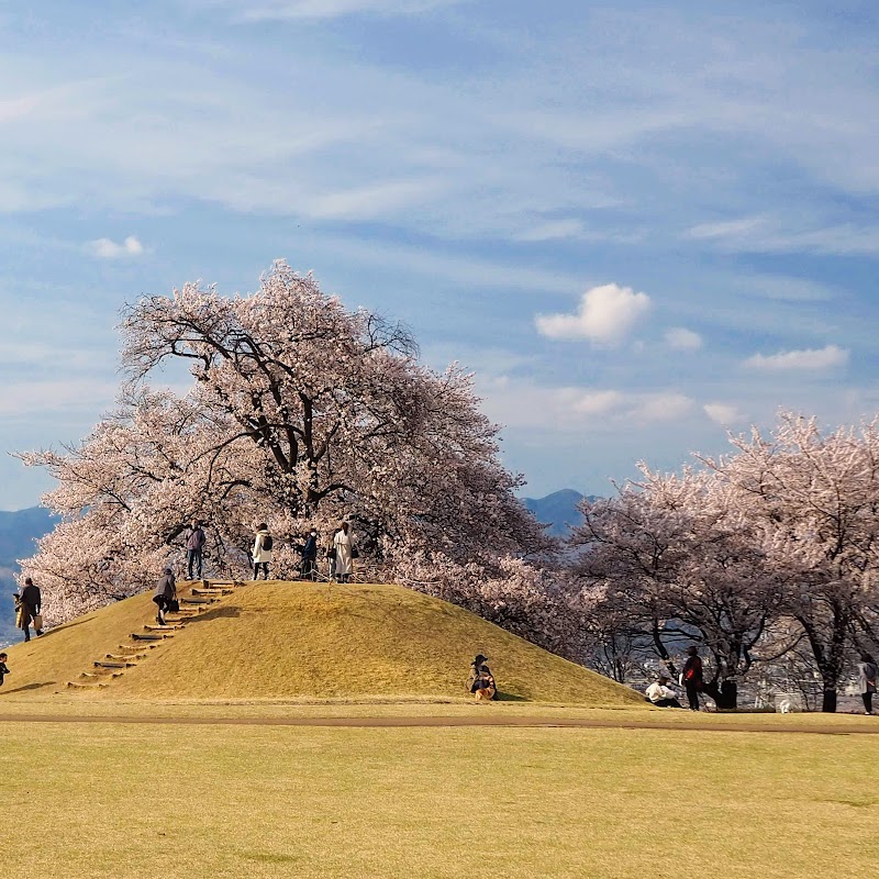 笛吹市八代ふるさと公園の写真